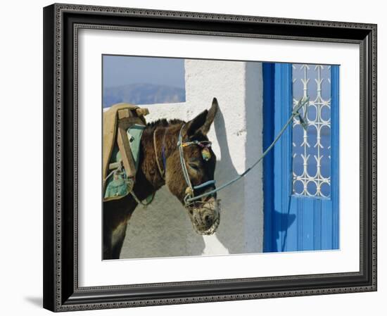 Donkey, Thira, Santorini, Cyclades Islands, Greece, Europe-Michael Short-Framed Photographic Print