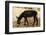 Donkey, Tunisia-Nico Tondini-Framed Photographic Print