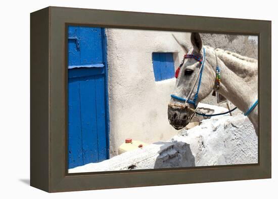 Donkey Waits at Cobbled Stairway, Santorini, Greece-David Noyes-Framed Premier Image Canvas