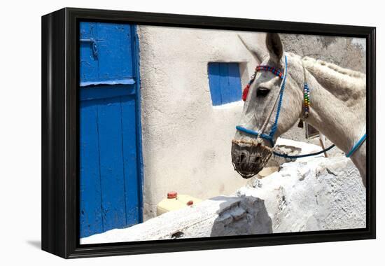 Donkey Waits at Cobbled Stairway, Santorini, Greece-David Noyes-Framed Premier Image Canvas