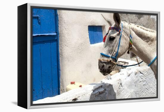 Donkey Waits at Cobbled Stairway, Santorini, Greece-David Noyes-Framed Premier Image Canvas