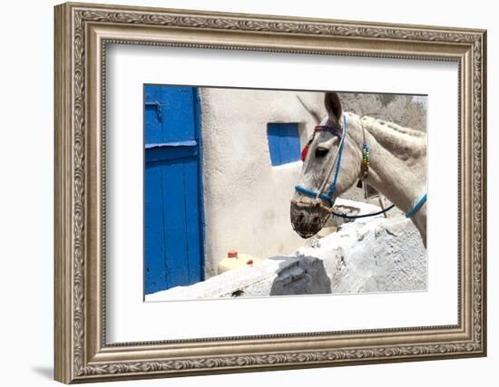 Donkey Waits at Cobbled Stairway, Santorini, Greece-David Noyes-Framed Photographic Print