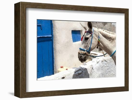 Donkey Waits at Cobbled Stairway, Santorini, Greece-David Noyes-Framed Photographic Print