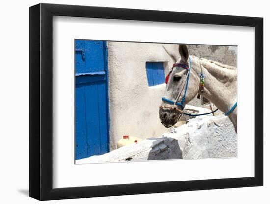 Donkey Waits at Cobbled Stairway, Santorini, Greece-David Noyes-Framed Photographic Print