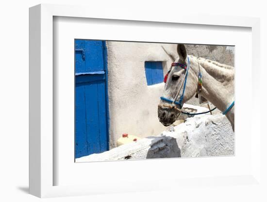 Donkey Waits at Cobbled Stairway, Santorini, Greece-David Noyes-Framed Photographic Print