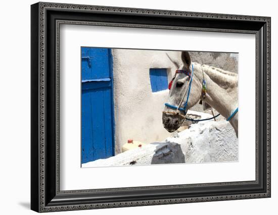 Donkey Waits at Cobbled Stairway, Santorini, Greece-David Noyes-Framed Photographic Print