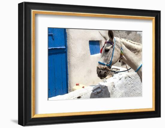 Donkey Waits at Cobbled Stairway, Santorini, Greece-David Noyes-Framed Photographic Print