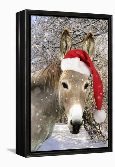 Donkey Wearing Christmas Hat in Snowy Scene-null-Framed Premier Image Canvas