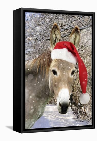 Donkey Wearing Christmas Hat in Snowy Scene-null-Framed Premier Image Canvas