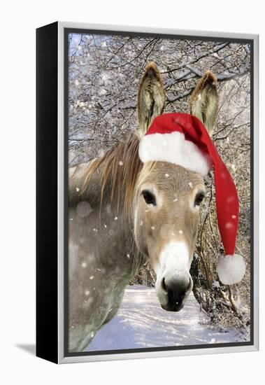Donkey Wearing Christmas Hat in Snowy Scene-null-Framed Premier Image Canvas