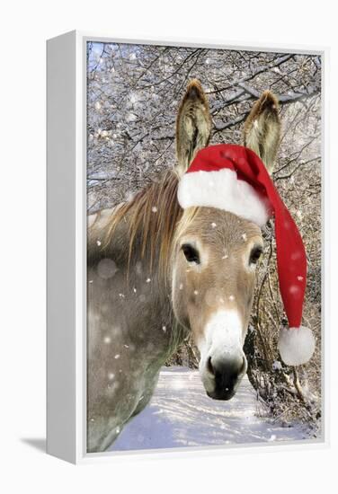 Donkey Wearing Christmas Hat in Snowy Scene-null-Framed Premier Image Canvas