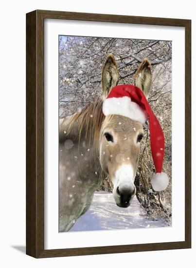 Donkey Wearing Christmas Hat in Snowy Scene-null-Framed Photographic Print