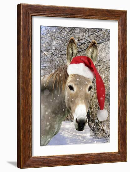 Donkey Wearing Christmas Hat in Snowy Scene-null-Framed Photographic Print