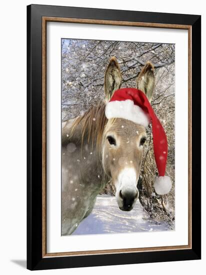 Donkey Wearing Christmas Hat in Snowy Scene--Framed Photographic Print
