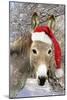 Donkey Wearing Christmas Hat in Snowy Scene-null-Mounted Photographic Print