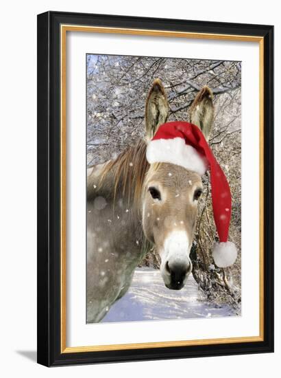 Donkey Wearing Christmas Hat in Snowy Scene-null-Framed Photographic Print