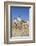 Donkey-null-Framed Photographic Print