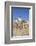 Donkey-null-Framed Photographic Print