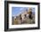 Donkey-null-Framed Photographic Print