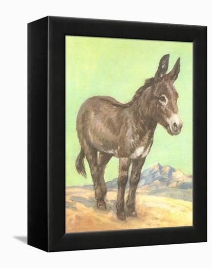 Donkey-null-Framed Stretched Canvas