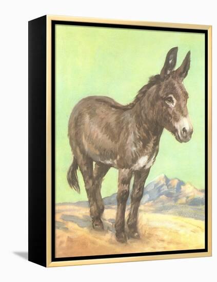 Donkey-null-Framed Stretched Canvas