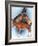 Donkey-Barbara Keith-Framed Giclee Print