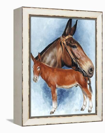 Donkey-Barbara Keith-Framed Premier Image Canvas