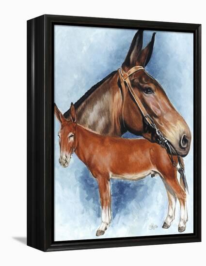 Donkey-Barbara Keith-Framed Premier Image Canvas