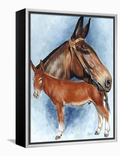 Donkey-Barbara Keith-Framed Premier Image Canvas