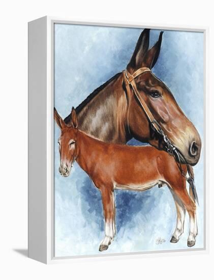 Donkey-Barbara Keith-Framed Premier Image Canvas