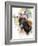 Donkey-Chamira Young-Framed Art Print