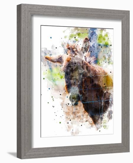 Donkey-Chamira Young-Framed Art Print