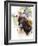 Donkey-Chamira Young-Framed Art Print