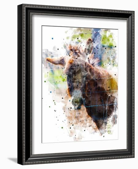 Donkey-Chamira Young-Framed Art Print