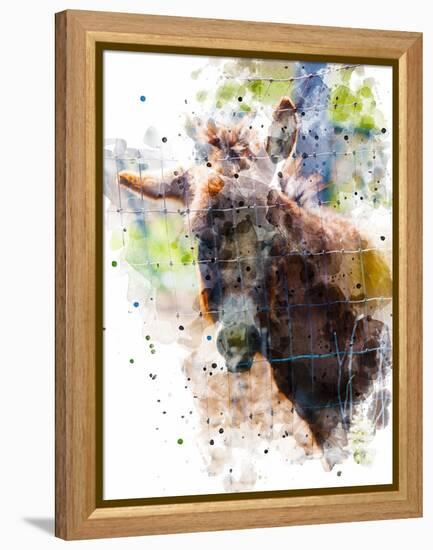 Donkey-Chamira Young-Framed Stretched Canvas