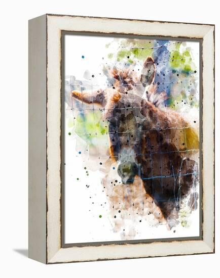 Donkey-Chamira Young-Framed Stretched Canvas