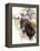 Donkey-Chamira Young-Framed Stretched Canvas