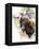 Donkey-Chamira Young-Framed Stretched Canvas