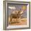 Donkeys, 1989-Antonio Ciccone-Framed Giclee Print