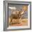 Donkeys, 1989-Antonio Ciccone-Framed Giclee Print