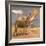 Donkeys, 1989-Antonio Ciccone-Framed Giclee Print