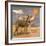 Donkeys, 1989-Antonio Ciccone-Framed Giclee Print