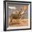 Donkeys, 1989-Antonio Ciccone-Framed Giclee Print