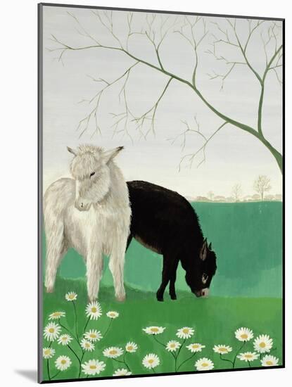 Donkeys and Daisies-Maggie Rowe-Mounted Giclee Print