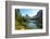 Donkeys at the edge of Lake Federa, Dolomites, Italy-Konrad Wothe-Framed Photographic Print