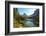 Donkeys at the edge of Lake Federa, Dolomites, Italy-Konrad Wothe-Framed Photographic Print