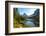 Donkeys at the edge of Lake Federa, Dolomites, Italy-Konrad Wothe-Framed Photographic Print