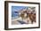 Donkeys on Greek Island-f8grapher-Framed Photographic Print