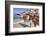 Donkeys on Greek Island-f8grapher-Framed Photographic Print