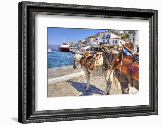 Donkeys on Greek Island-f8grapher-Framed Photographic Print